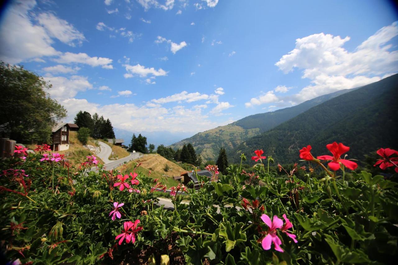 Bed and Breakfast Bleusydyllique Нанда Экстерьер фото